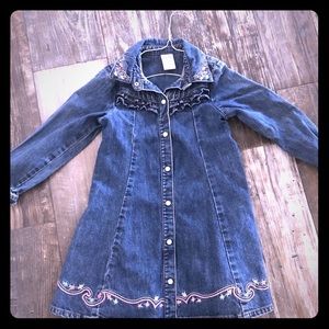 Embroidered long sleeve Denim dress